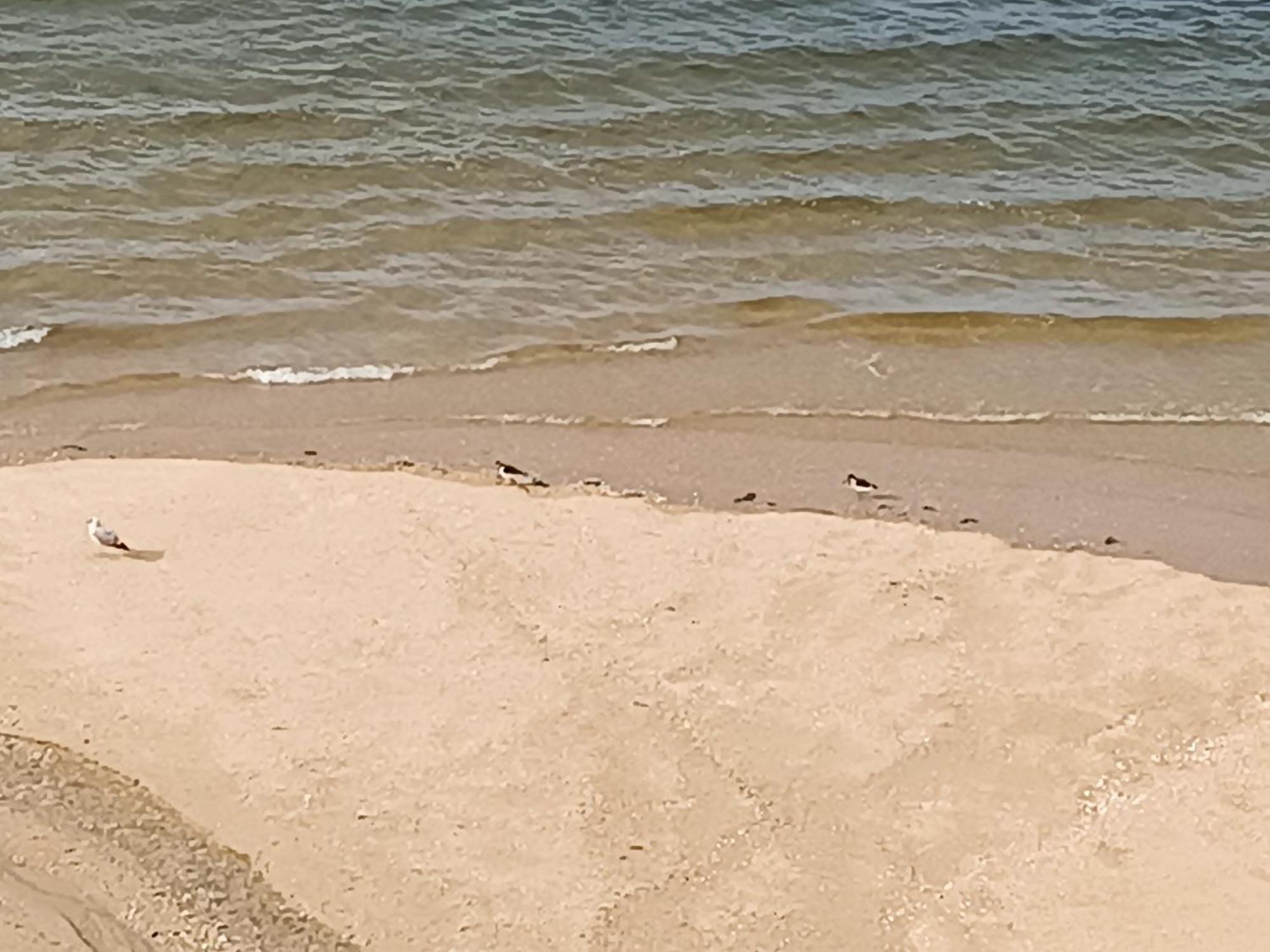 Апартаменти Mirador Mar De Castelao, 1ª Linea De Playa Urbana Віланова-де-Ароуса Екстер'єр фото